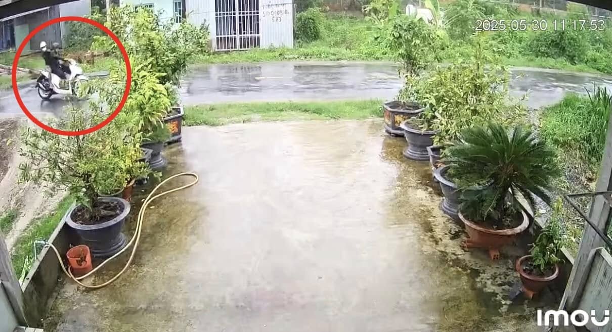 Cây phượng ngã kéo theo dây điện bị đứt, khiến 2 thợ sửa xe bị điện giật tử vong - Ảnh 3.