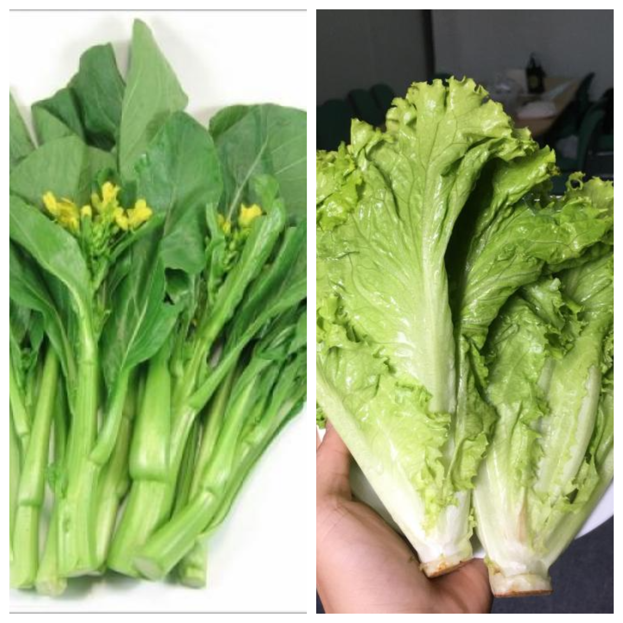 Đốt mỡ cực nhanh với 7 loại thực phẩm quen thuộc- Ảnh 4. Đốt mỡ cực nhanh với 7 loại thực phẩm quen thuộc- Ảnh 4.