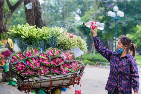 "Ông ngốn nhiều hoa sen lắm đấy nhé!" - Ảnh 1.