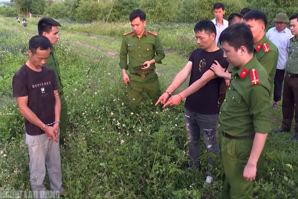 Cận cảnh khu lăng mộ vua Lê Túc Tông bị xâm hại - Ảnh 10.