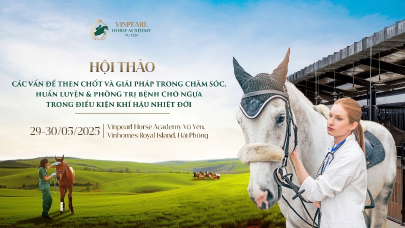 Học viện Cưỡi Ngựa Vinpearl Vũ Yên tổ chức Hội thảo chuyên sâu về ngựa- Ảnh 1. Học viện Cưỡi Ngựa Vinpearl Vũ Yên tổ chức Hội thảo chuyên sâu về ngựa- Ảnh 1.