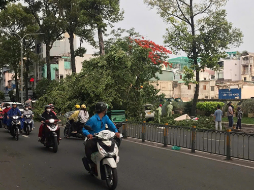 Giảm tổn thất trong mùa mưa - Ảnh 2. Giảm tổn thất trong mùa mưa - Ảnh 2.