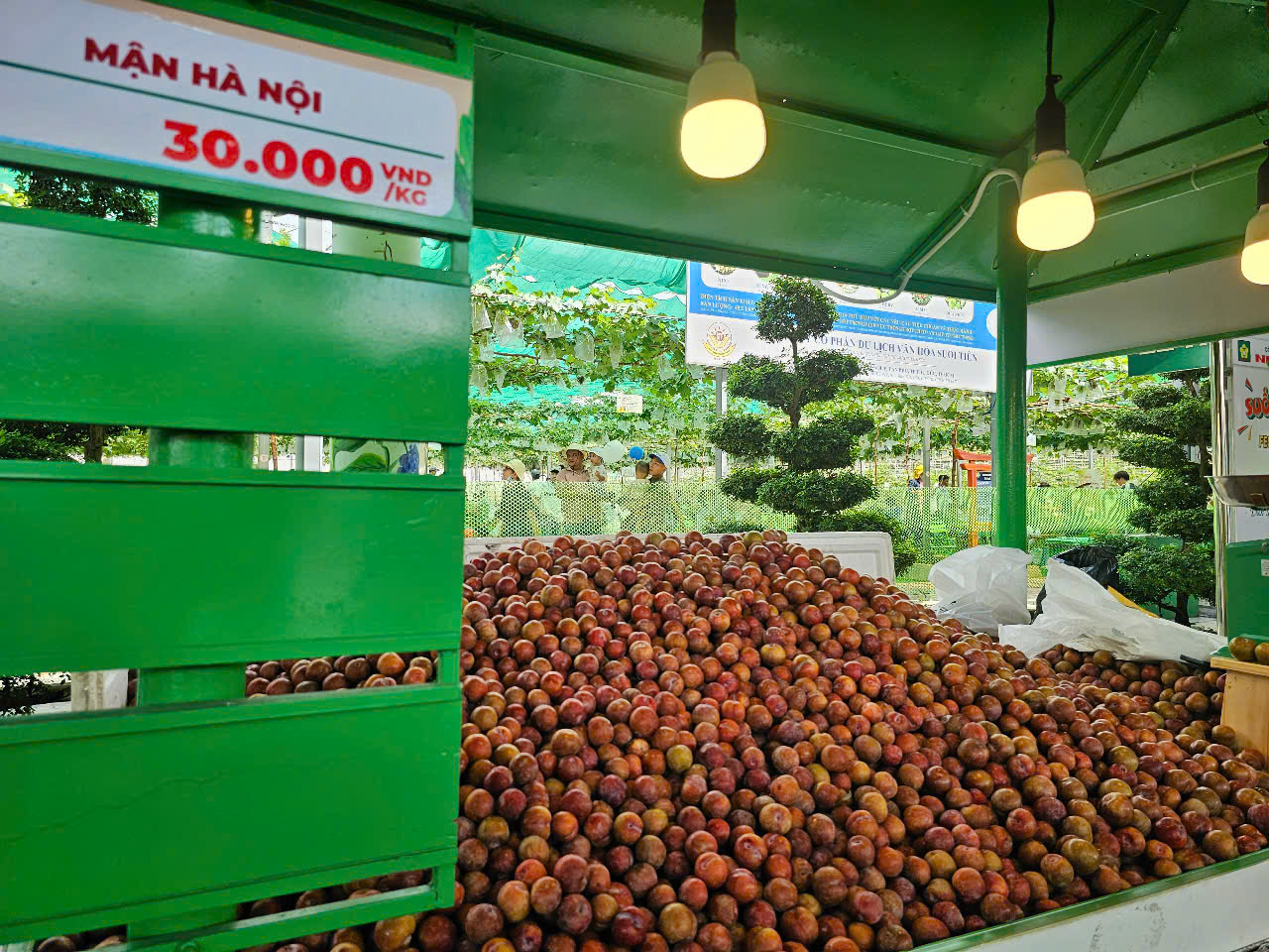 Đông nghịt người đổ về lễ hội trái cây Nam bộ tại Suối Tiên - Ảnh 10.