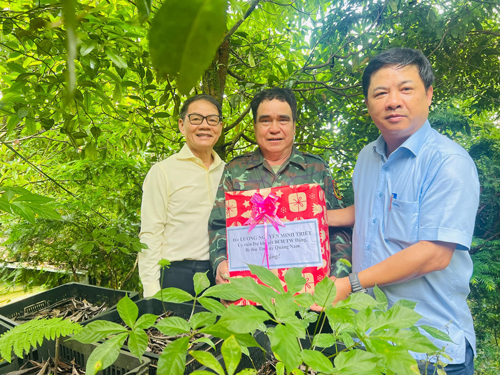 THACO quyết đưa sâm Ngọc Linh lên tầm cao - Ảnh 1. THACO quyết đưa sâm Ngọc Linh lên tầm cao - Ảnh 1.