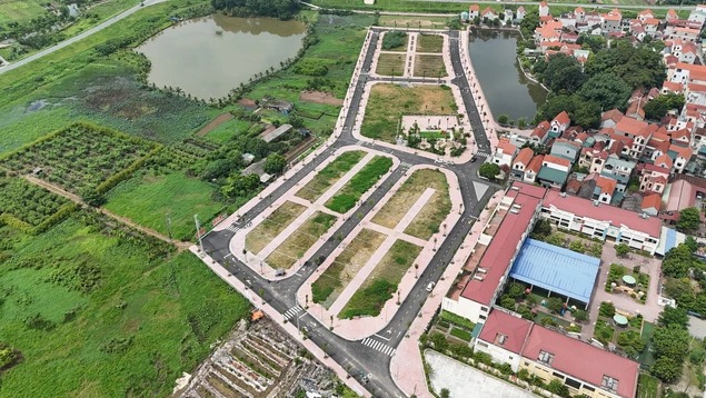 Thường trực Chính phủ yêu cầu xử lý nghiêm hành vi đầu cơ, thổi giá, tạo sốt ảo bất động sản - Ảnh 1.