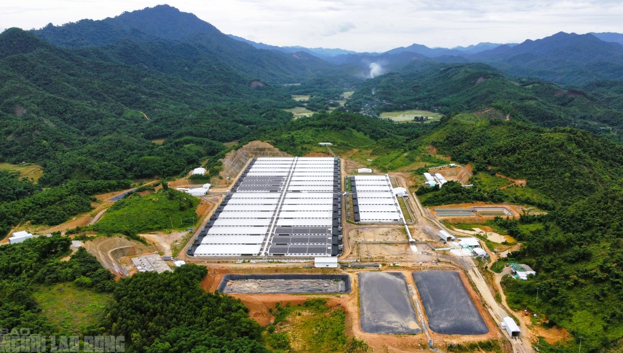 Vừa hoạt động trở lại, trại heo công suất 60.000 con/năm lại gây mùi hôi thối- Ảnh 1. Vừa hoạt động trở lại, trại heo công suất 60.000 con/năm lại gây mùi hôi thối- Ảnh 1.