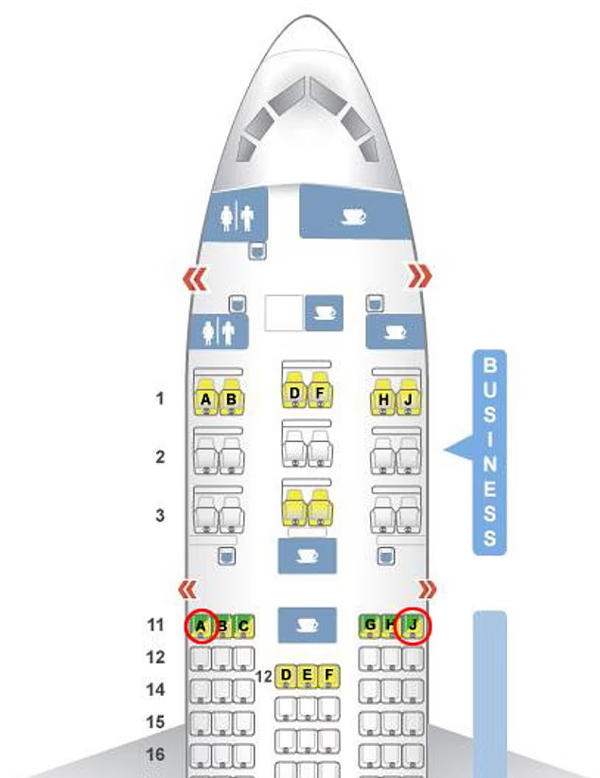 Thực hư ghế 11A cứu hành khách sống sót duy nhất; máy bay Air India hạ cánh khẩn cấp - Ảnh 2. Vì sao hành khách Anh thoát chết trong vụ tai nạn máy bay Ấn Độ? - Ảnh 2.