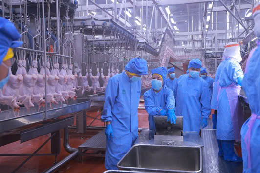 Sở Nông nghiệp và Môi trường tỉnh Bình Phước kiểm tra CPV Food Bình Phước- Ảnh 2. Sở Nông nghiệp và Môi trường tỉnh Bình Phước kiểm tra CPV Food Bình Phước- Ảnh 2.