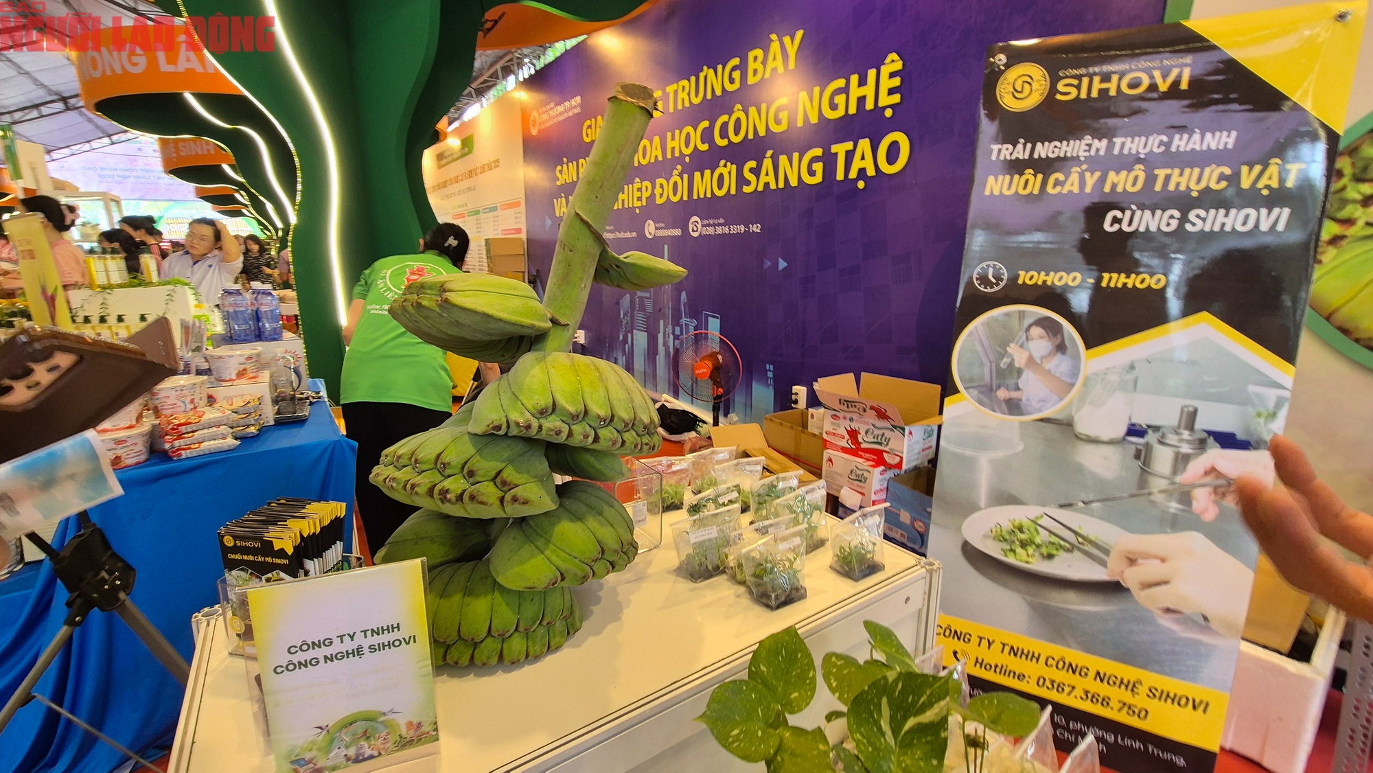 Bất ngờ với cây, con giống độc lạ - Ảnh 9. Bất ngờ với cây, con giống độc lạ - Ảnh 9.