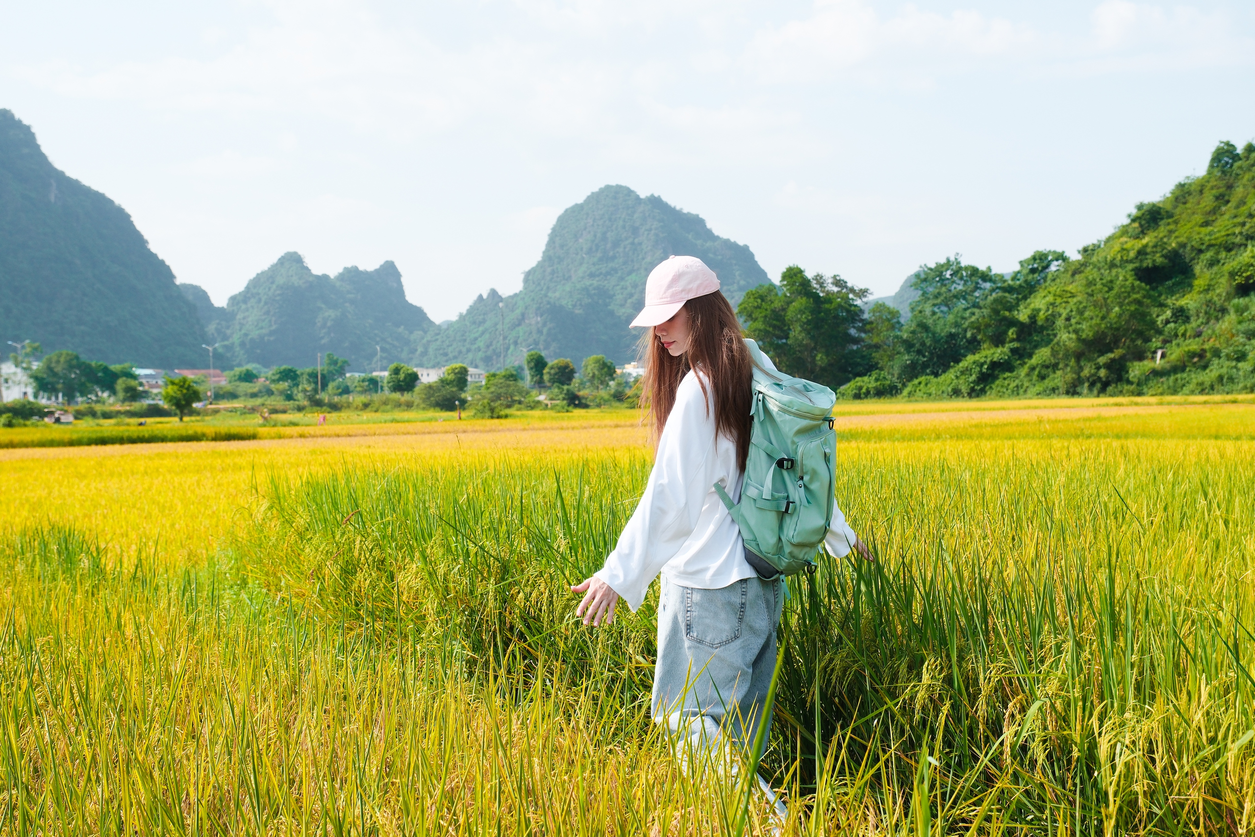Hồ Ngọc Hà được Sở du lịch Quảng Bình mời quảng bá quê hương - Ảnh 1.