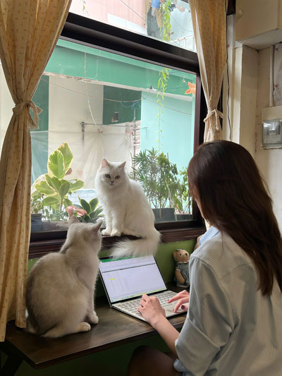 Lối đi ngay dưới chân mình - Ảnh 2. Lối đi ngay dưới chân mình - Ảnh 2.