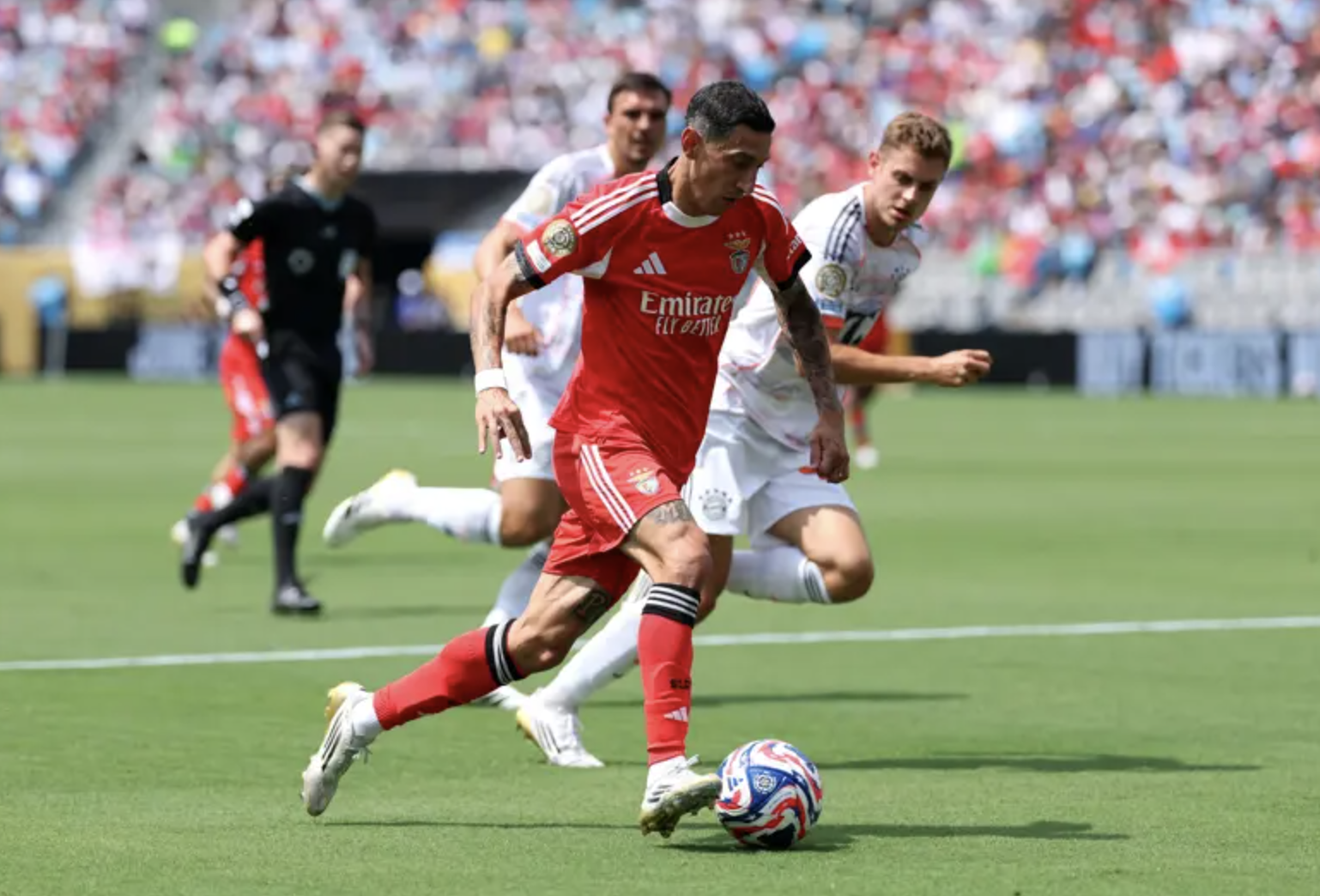 Benfica quật ngã Bayern Munich, hoàn thành sớm chỉ tiêu FIFA Club World Cup- Ảnh 7. Benfica quật ngã Bayern Munich, hoàn thành sớm chỉ tiêu FIFA Club World Cup- Ảnh 7.