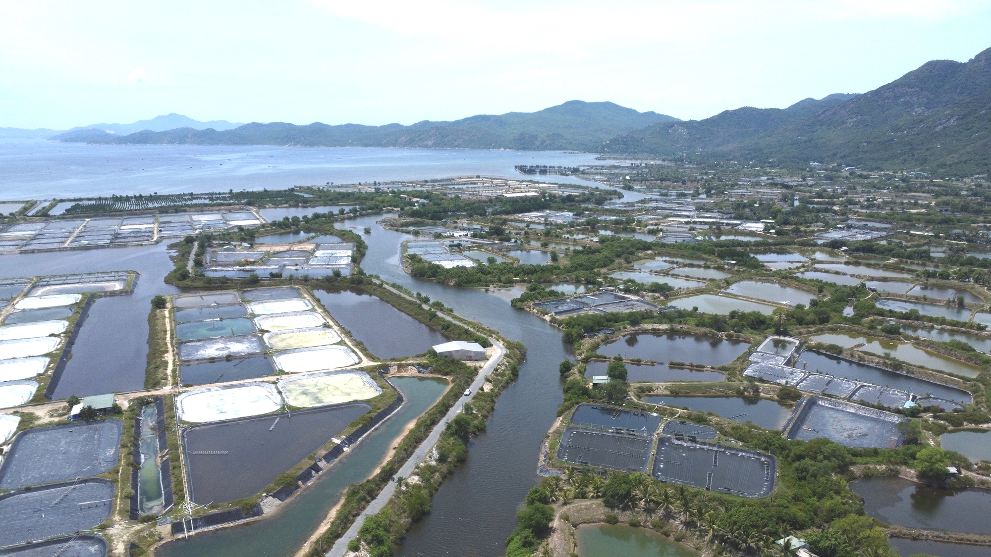 Người dân "sốc" vì đền bù 0 đồng lấy đất làm Khu đô thị ven Vịnh Cam Ranh- Ảnh 4.