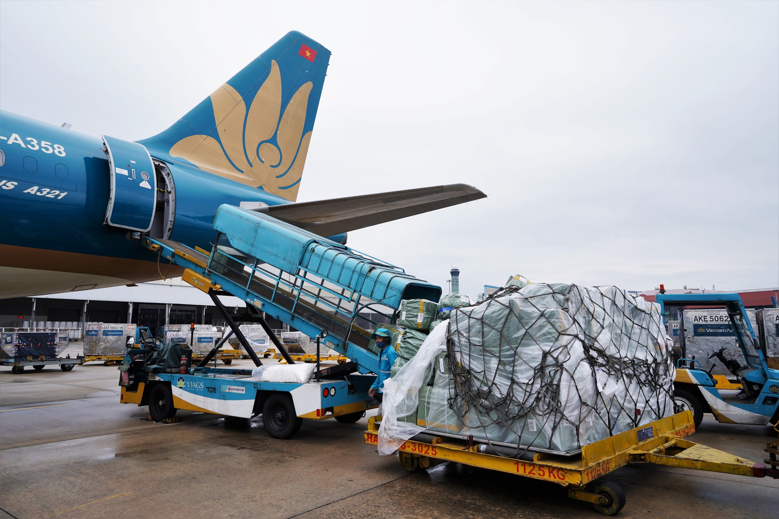 Vietnam Airlines lên kế hoạch thành lập hãng hàng không vận tải hàng hóa- Ảnh 1. Vietnam Airlines lên kế hoạch thành lập hãng hàng không vận tải hàng hóa- Ảnh 1.
