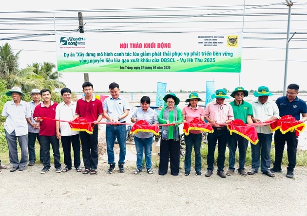 Bình Điền đẩy mạnh Dự án phát triển bền vững vùng nguyên liệu lúa gạo xuất khẩu của ĐBSCL- Ảnh 2.