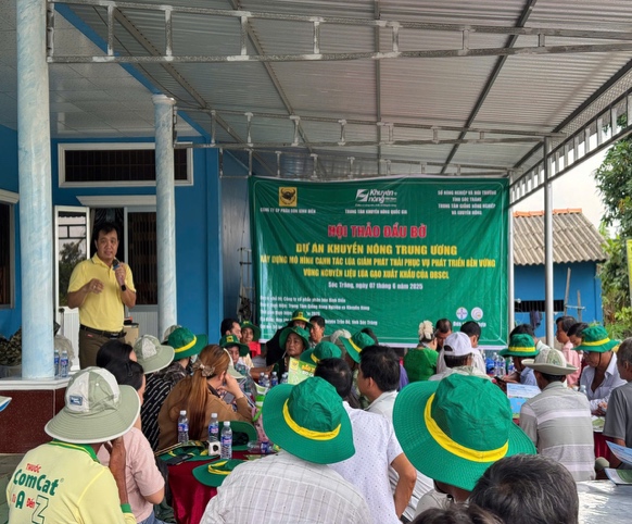 Bình Điền đẩy mạnh Dự án phát triển bền vững vùng nguyên liệu lúa gạo xuất khẩu của ĐBSCL- Ảnh 3.