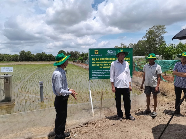 Bình Điền đẩy mạnh Dự án phát triển bền vững vùng nguyên liệu lúa gạo xuất khẩu của ĐBSCL- Ảnh 4.