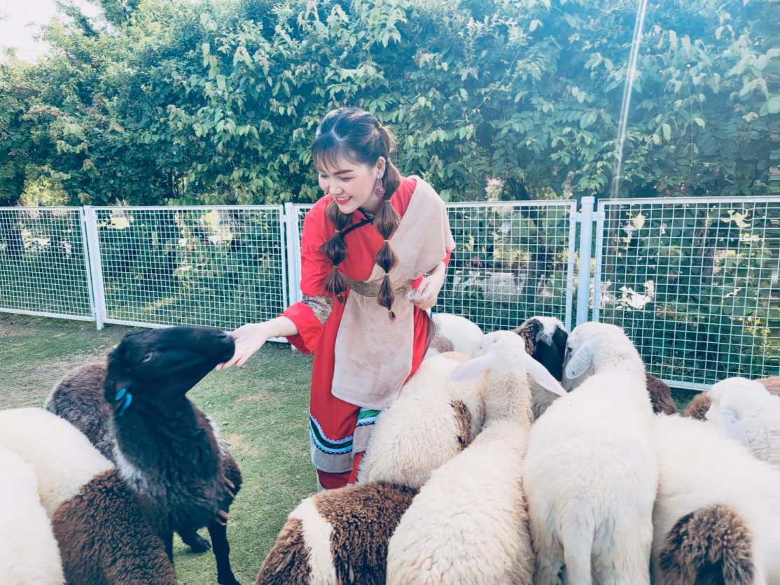 Impian emas di tengah-tengah tanah rohani Tujuh Gunung terkumpul selama beribu-ribu tahun - Foto 3. Giấc mộng vàng giữa địa linh Bảy Núi ngàn năm tích tụ- Ảnh 3.