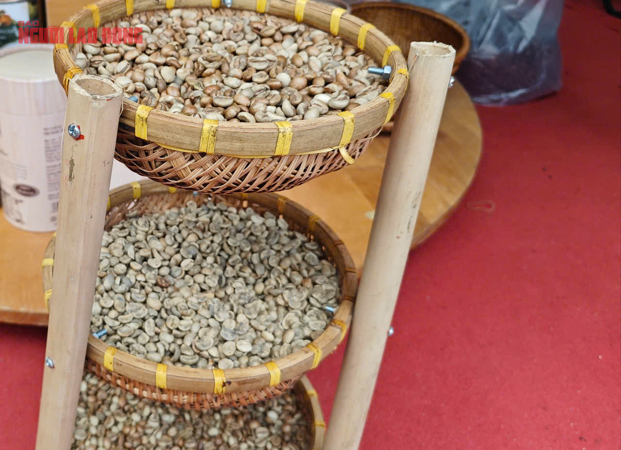 Giá cà phê hôm nay 26-6: Đua nhau cắt lỗ- Ảnh 1. Giá cà phê hôm nay 26-6: Đua nhau cắt lỗ- Ảnh 1.