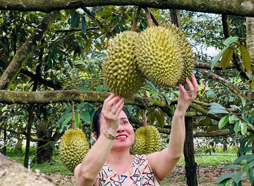 Không để tái diễn cảnh được mùa mất giá- Ảnh 2. Không để tái diễn cảnh được mùa mất giá- Ảnh 2.