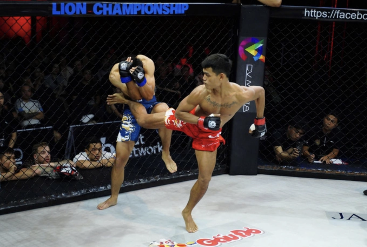 Võ sĩ bị đá dập gan, phải cấp cứu tại MMA LION Championship - Ảnh 1.