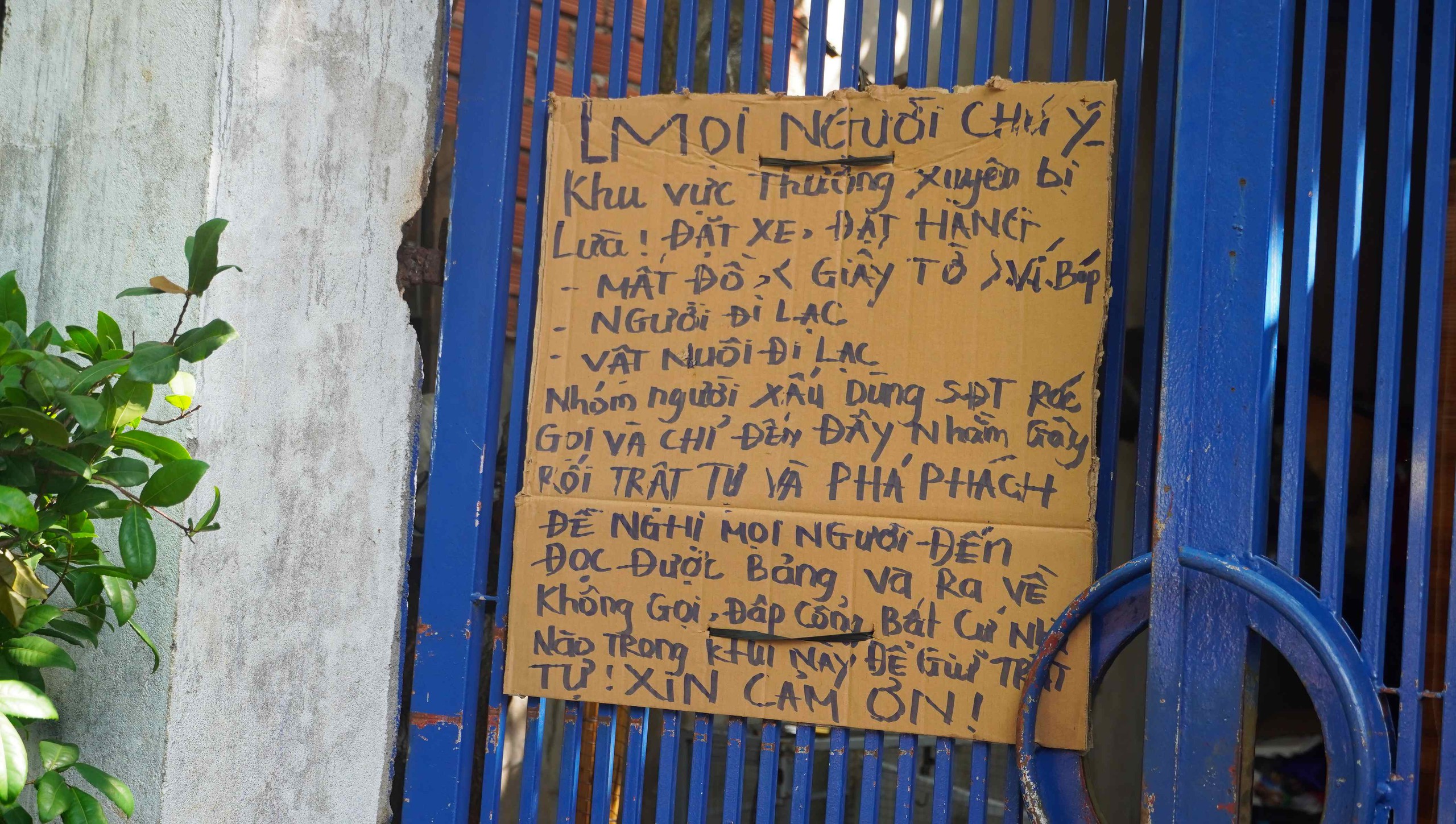 Estranho  Lạ lùng