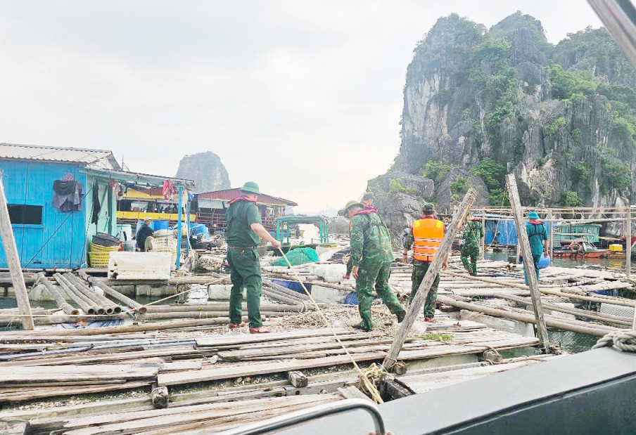 Quang Ninh pede que os navios se abriguem da tempestade - Foto 1. Quảng Ninh kêu gọi tàu thuyền vào nơi tránh bão- Ảnh 1.
