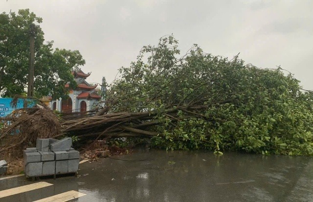 Cảnh báo hoàn lưu bão số 3 Wipha gây mưa lớn , đe dọa lũ quét và sạt lở đất - Ảnh 1. Cảnh báo hoàn lưu bão số 3 Wipha gây mưa lớn , đe dọa lũ quét và sạt lở đất - Ảnh 1.