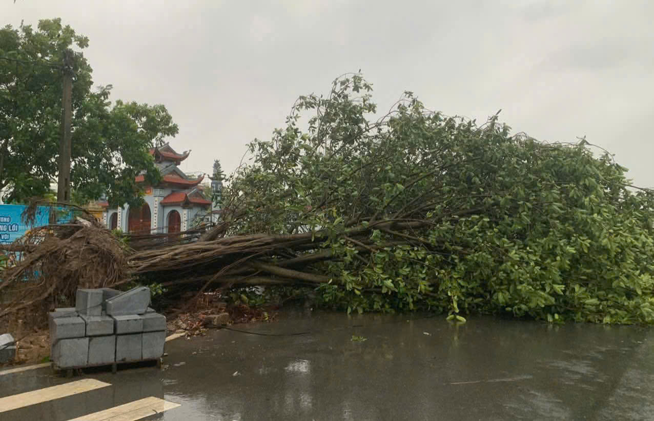 Cảnh báo hoàn lưu bão số 3 Wipha gây mưa rất to, đe dọa lũ quét, sạt lở đất tại hàng loạt địa phương - Ảnh 1.