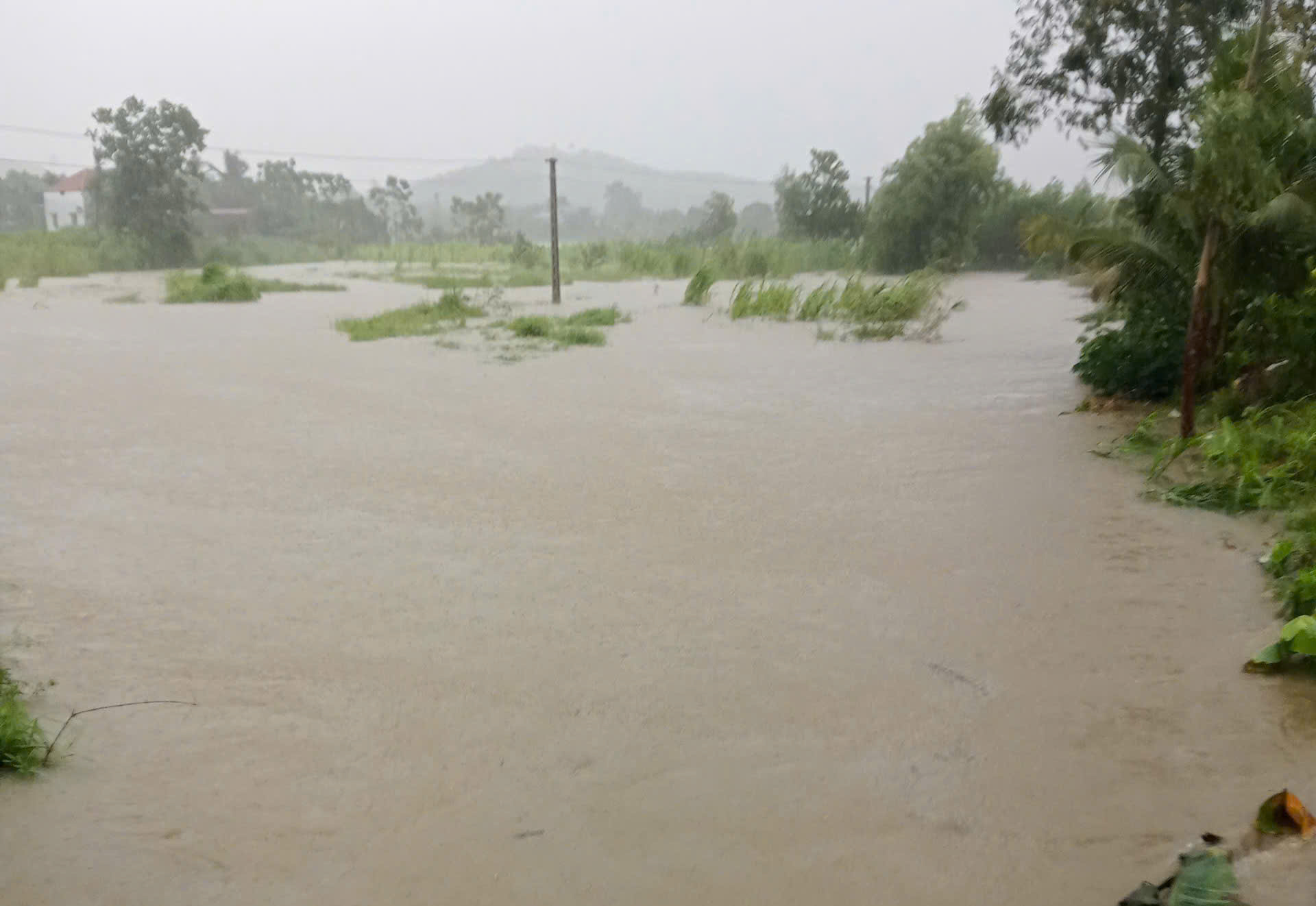 Cảnh báo hoàn lưu bão số 3 Wipha gây mưa rất to, đe dọa lũ quét, sạt lở đất tại hàng loạt địa phương - Ảnh 1.