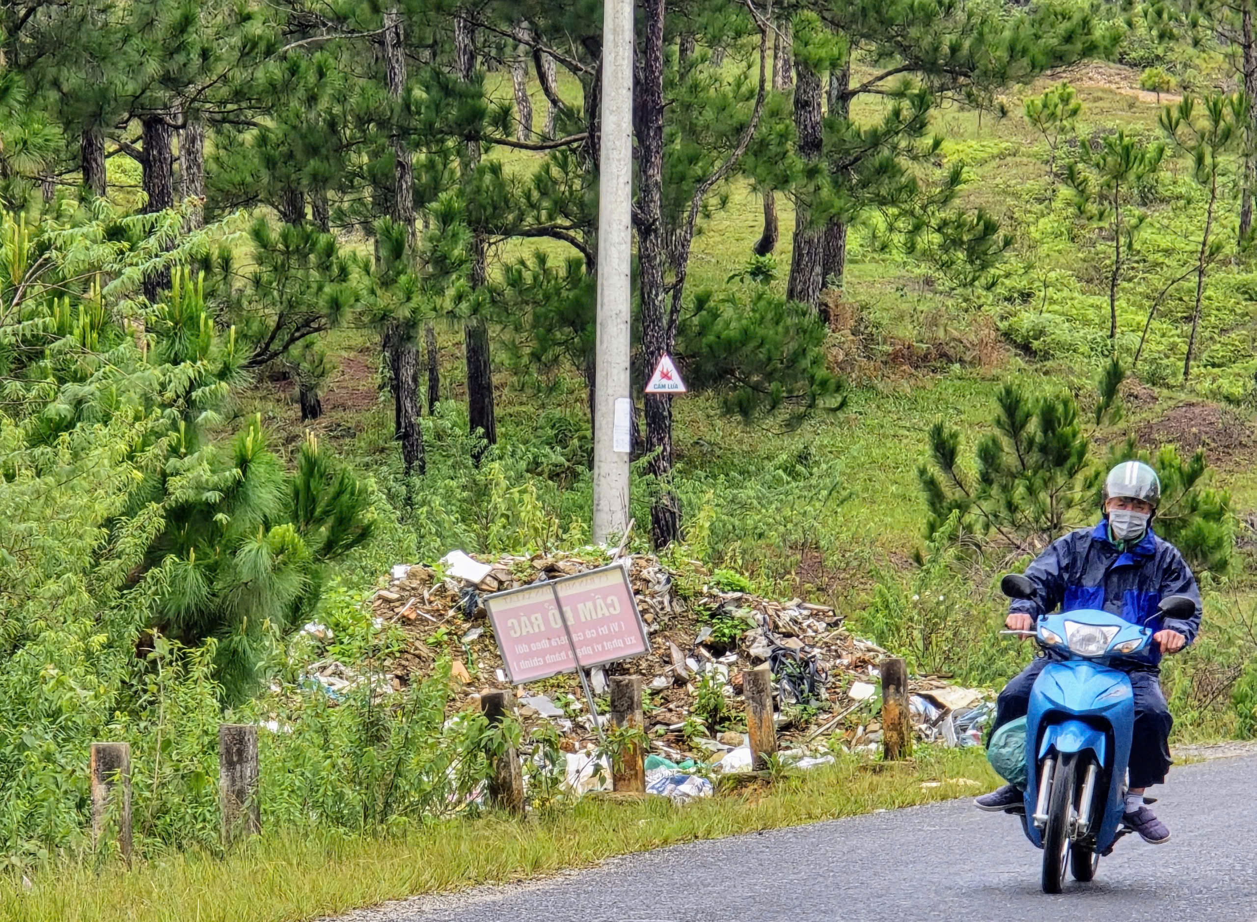 Rừng thông Đà Lạt ngập ngụa rác thải nông nghiệp , cần bảo vệ môi trường - Ảnh 2. Rừng thông Đà Lạt ngập ngụa rác thải nông nghiệp , cần bảo vệ môi trường - Ảnh 2.