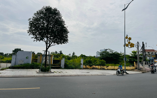 Đấu giá đất Đồng Nai 2026 với 2 khu đất lớn ở sân bay Long Thành - Ảnh 2. Đấu giá đất Đồng Nai 2026 với 2 khu đất lớn ở sân bay Long Thành - Ảnh 2.