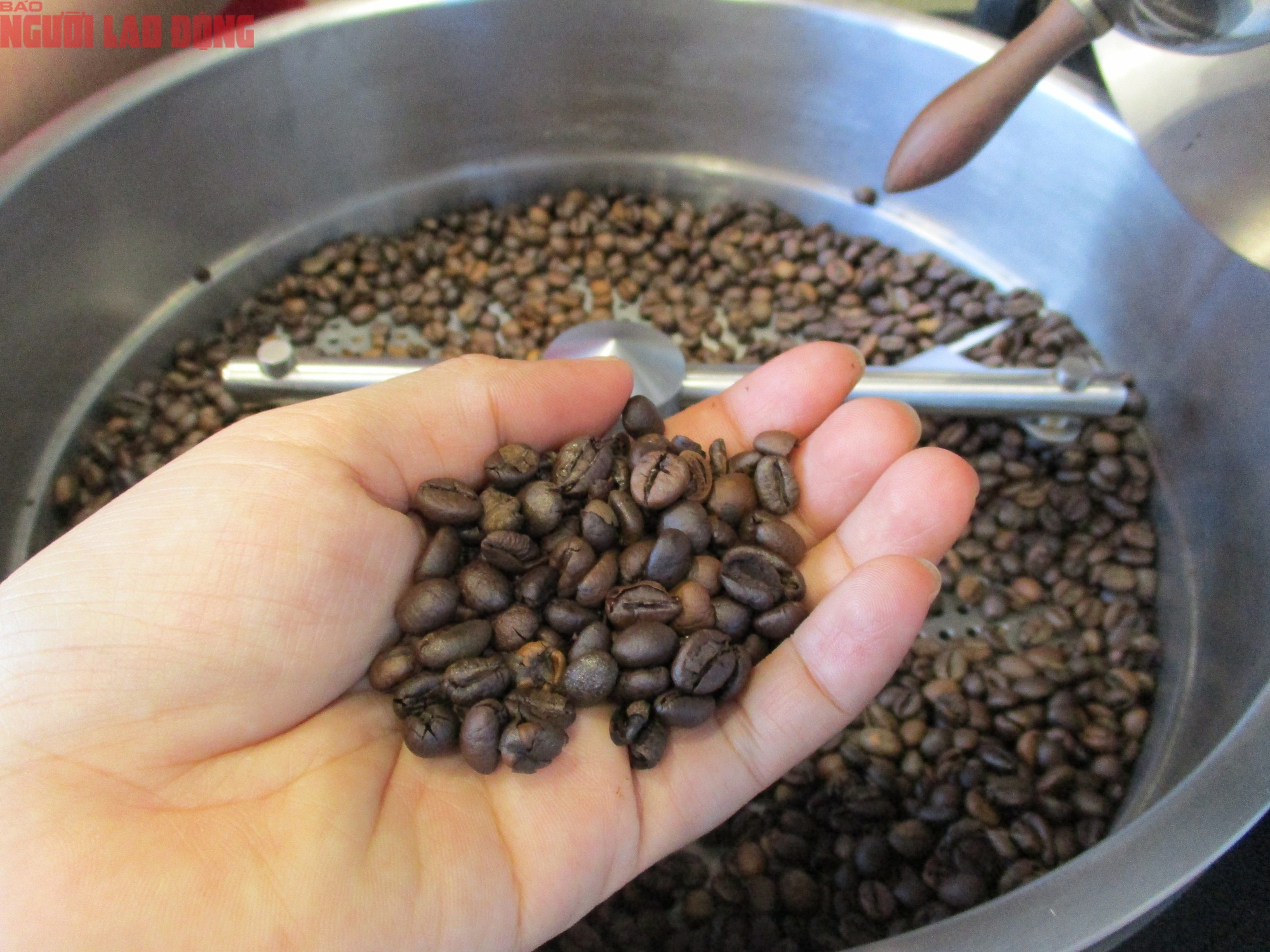 Giá cà phê hôm nay 30-7: Robusta thoát hiểm- Ảnh 1.