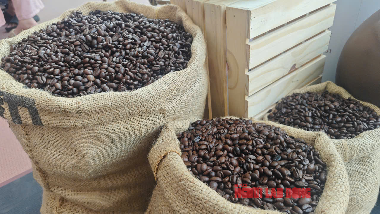 Giá cà phê hôm nay 4-7: Robusta tăng, Arabica giảm, Việt Nam xuất khẩu lập kỷ lục khó tin- Ảnh 1. Giá cà phê hôm nay 4-7: Robusta tăng, Arabica giảm, Việt Nam xuất khẩu lập kỷ lục khó tin- Ảnh 1.