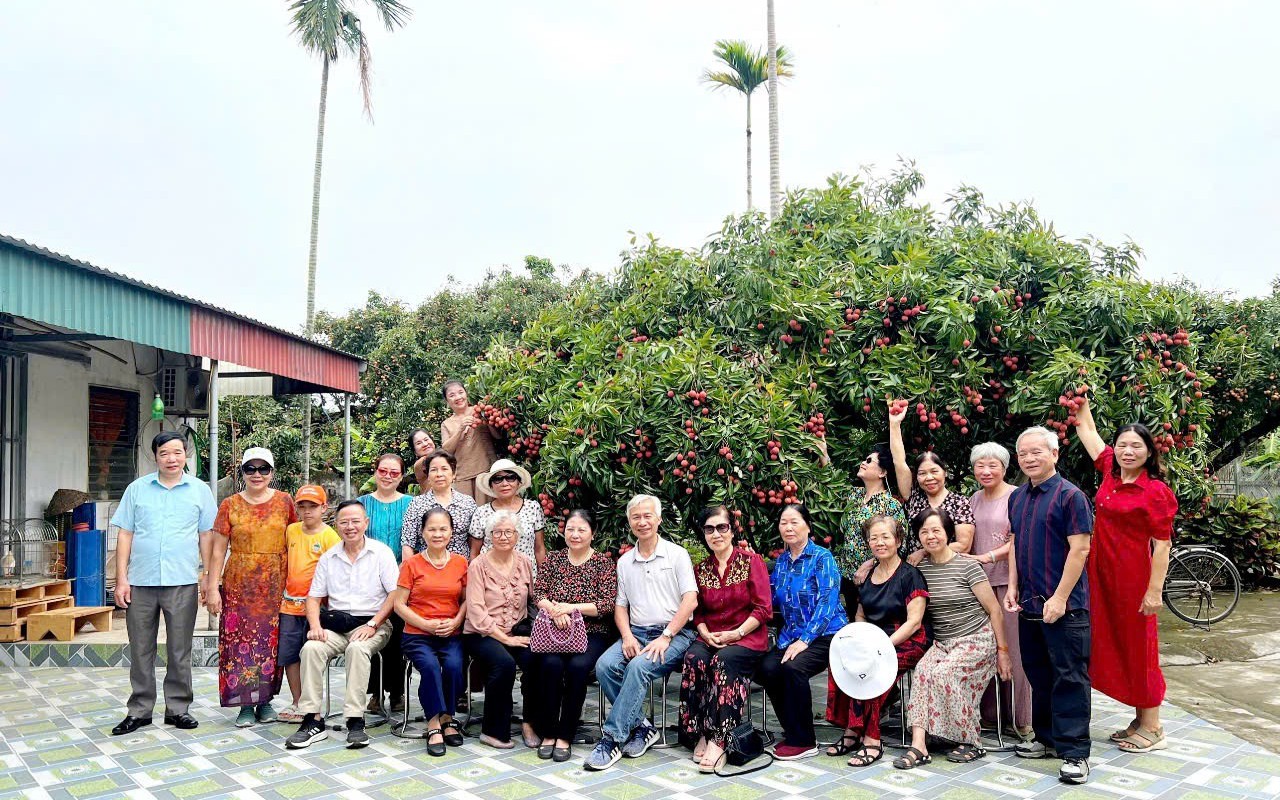 Tuổi gi&agrave; sống vui, sống khỏe