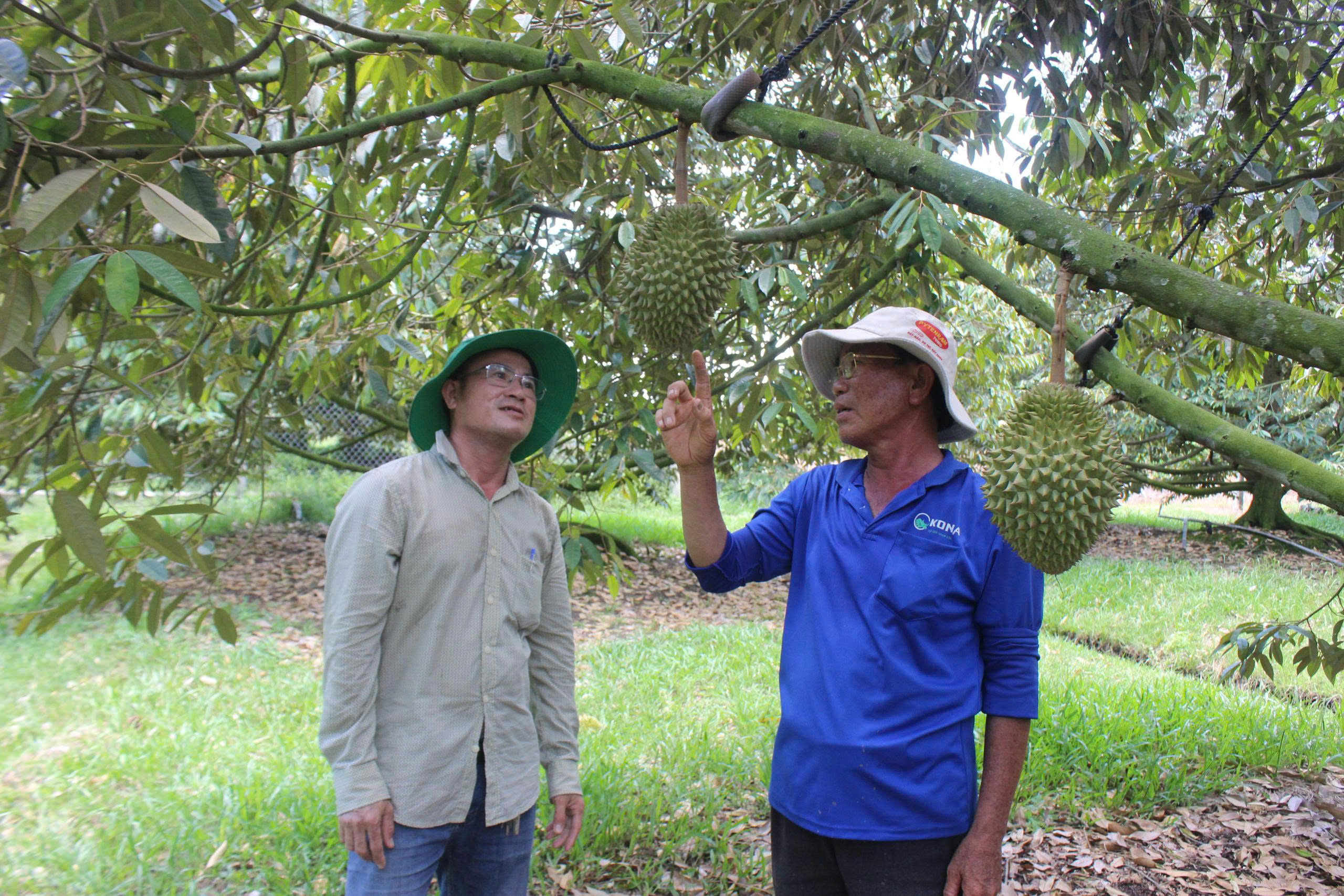 Loạt dự án chiến lược ở Tây Ninh được chấp thuận chủ trương đầu tư- Ảnh 1.