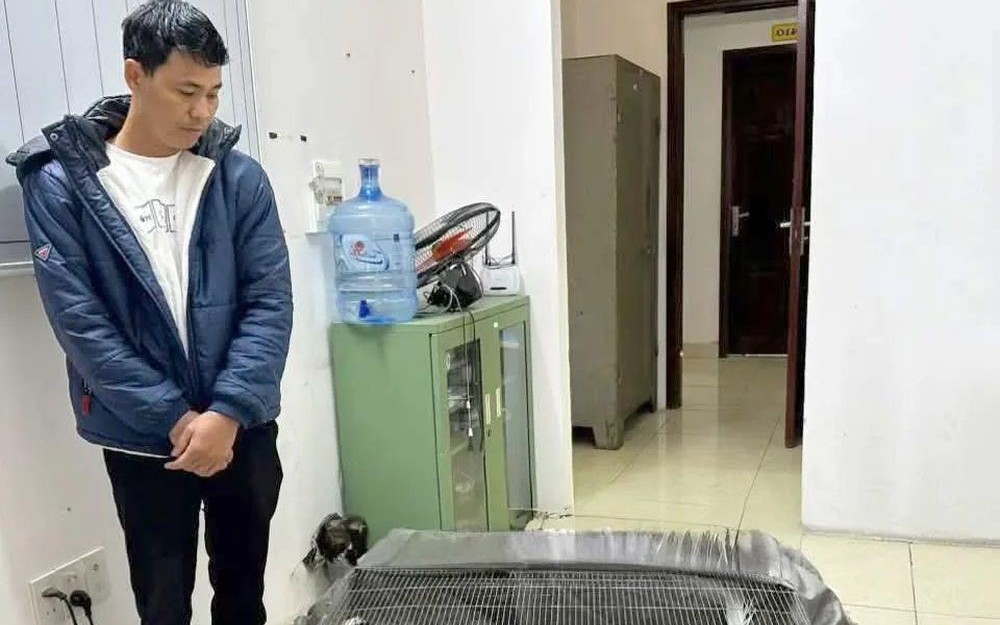 Vụ lĩnh 6 năm tù vì nuôi bán 13 con gà lôi trắng:  Có tình tiết giảm nhẹ trách nhiệm hình sự ?- Ảnh 2.