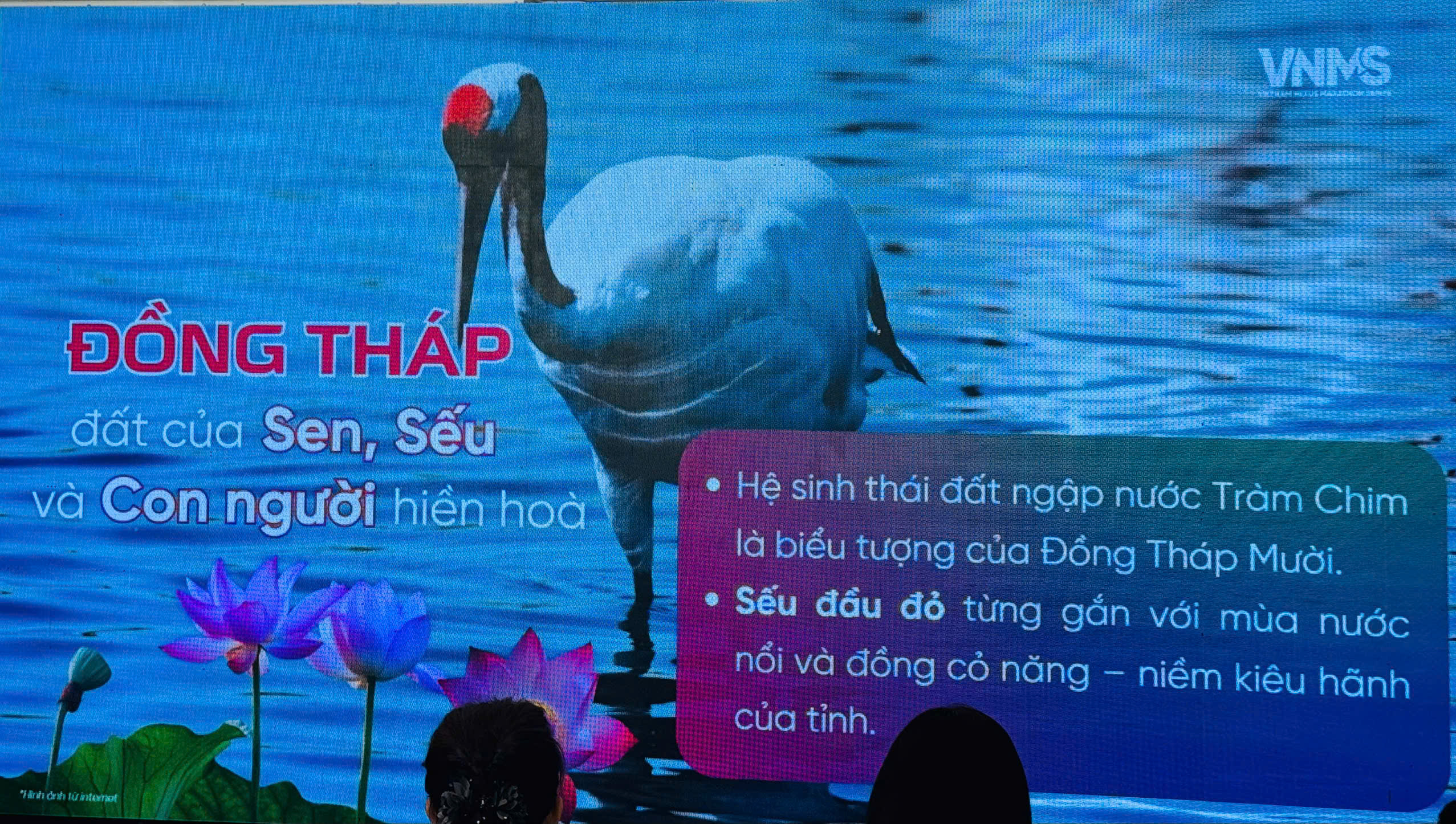 Hơn 10.000 vận động viên tham gia VPBank Đất Sen Hồng Music Marathon 2025 - Ảnh 4.