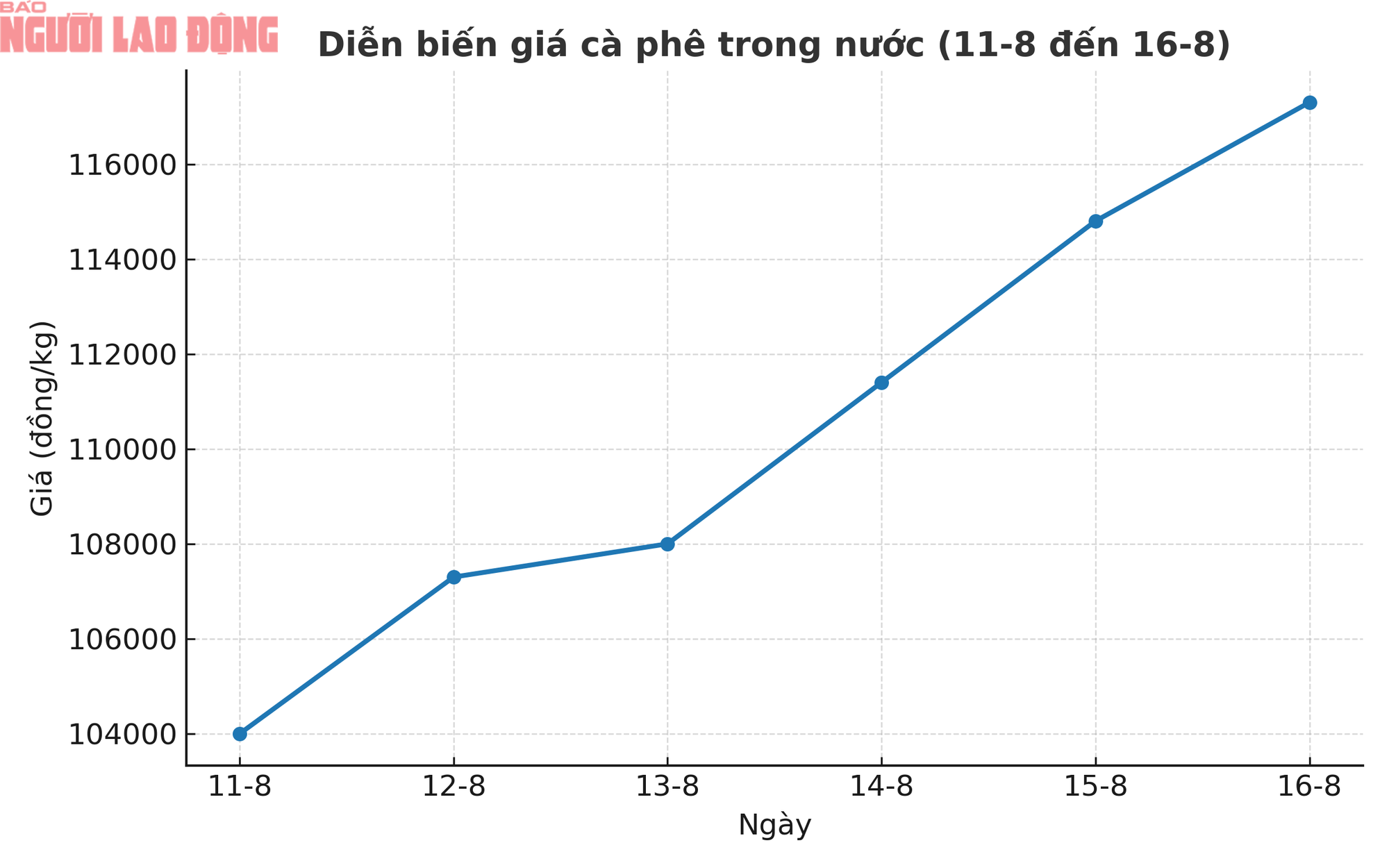 Giá cà phê hôm nay 17-8: Tăng thẳng đứng, đại gia cà phê lãi khủng- Ảnh 1.