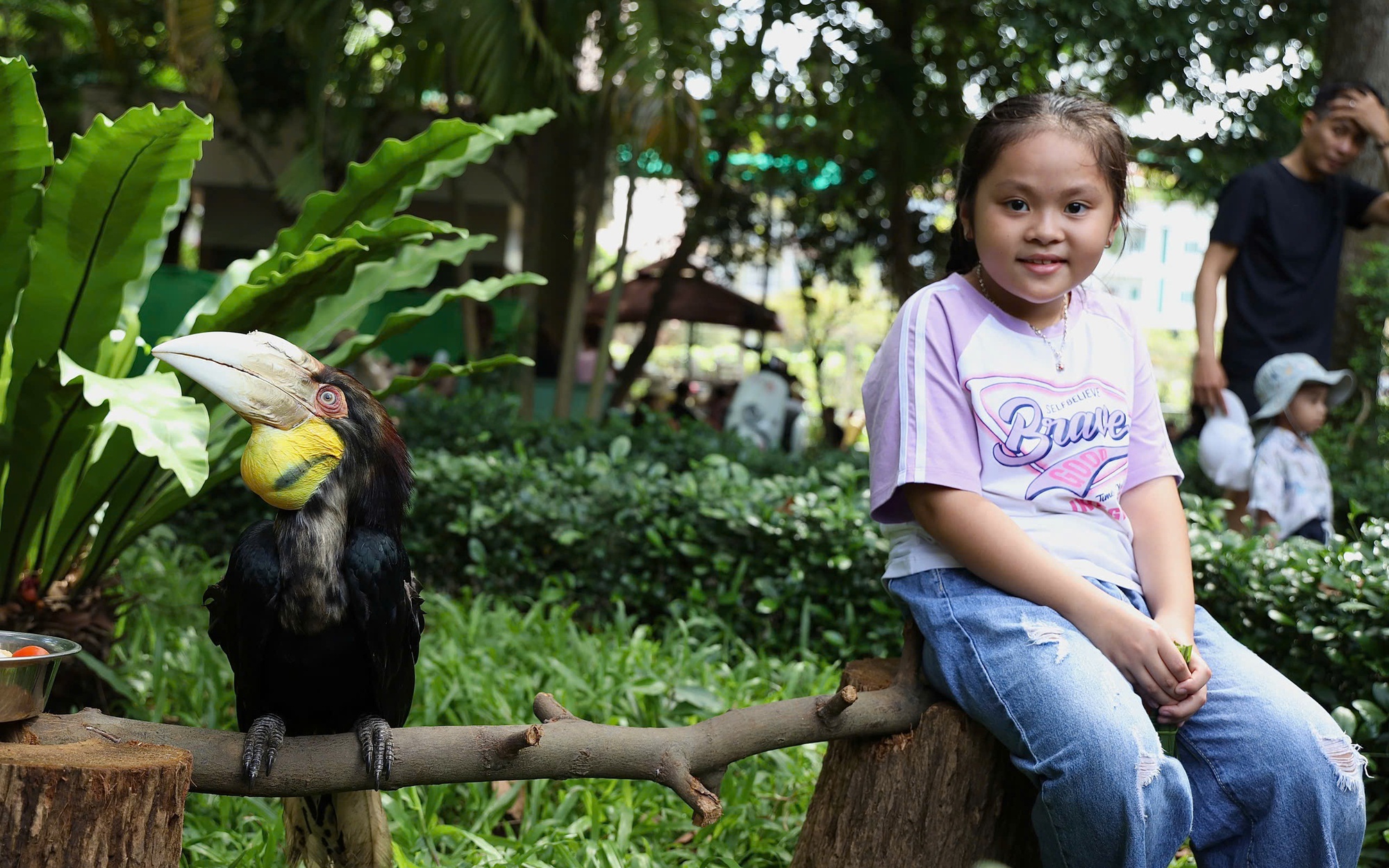 Thảo Cầm Viên: Áo mèo Mika được đấu giá 10 triệu, fan 3 thế hệ “chốt đơn” - Ảnh 3.
