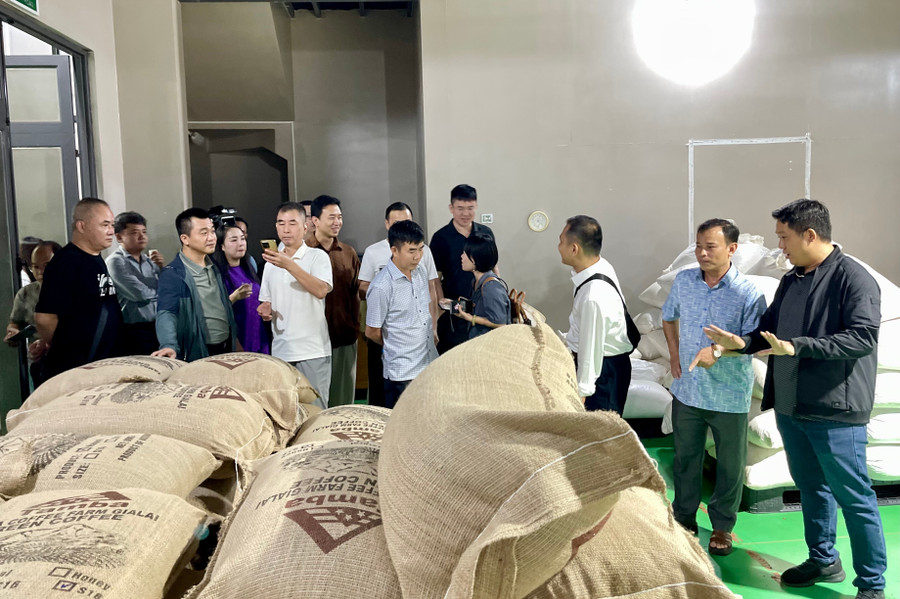 Gia Lai mở rộng xuất khẩu nông sản vào thị trường Trung Quốc- Ảnh 1.