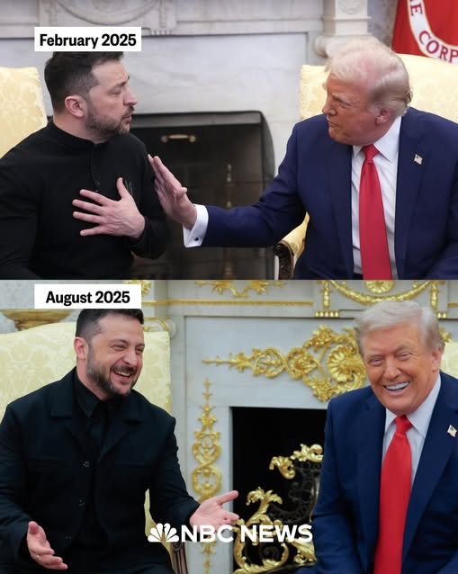 Vừa họp xong với ông Zelensky, Tổng thống Donald Trump gọi ngay cho tổng thống Nga - Ảnh 2. Vừa họp xong với ông Zelensky, Tổng thống Donald Trump gọi ngay cho tổng thống Nga - Ảnh 2.