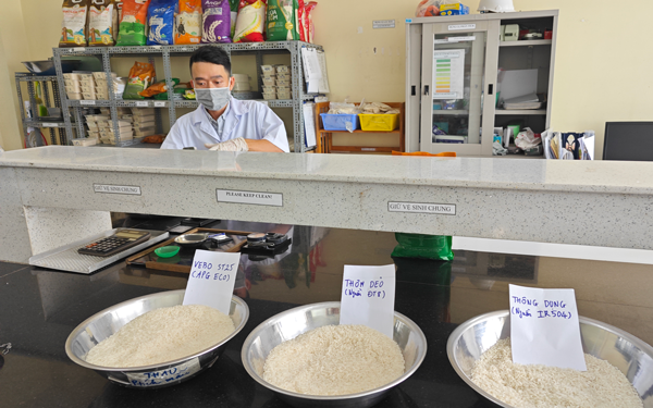 "Hộ chiếu xanh" cho gạo Việt - Ảnh 1.