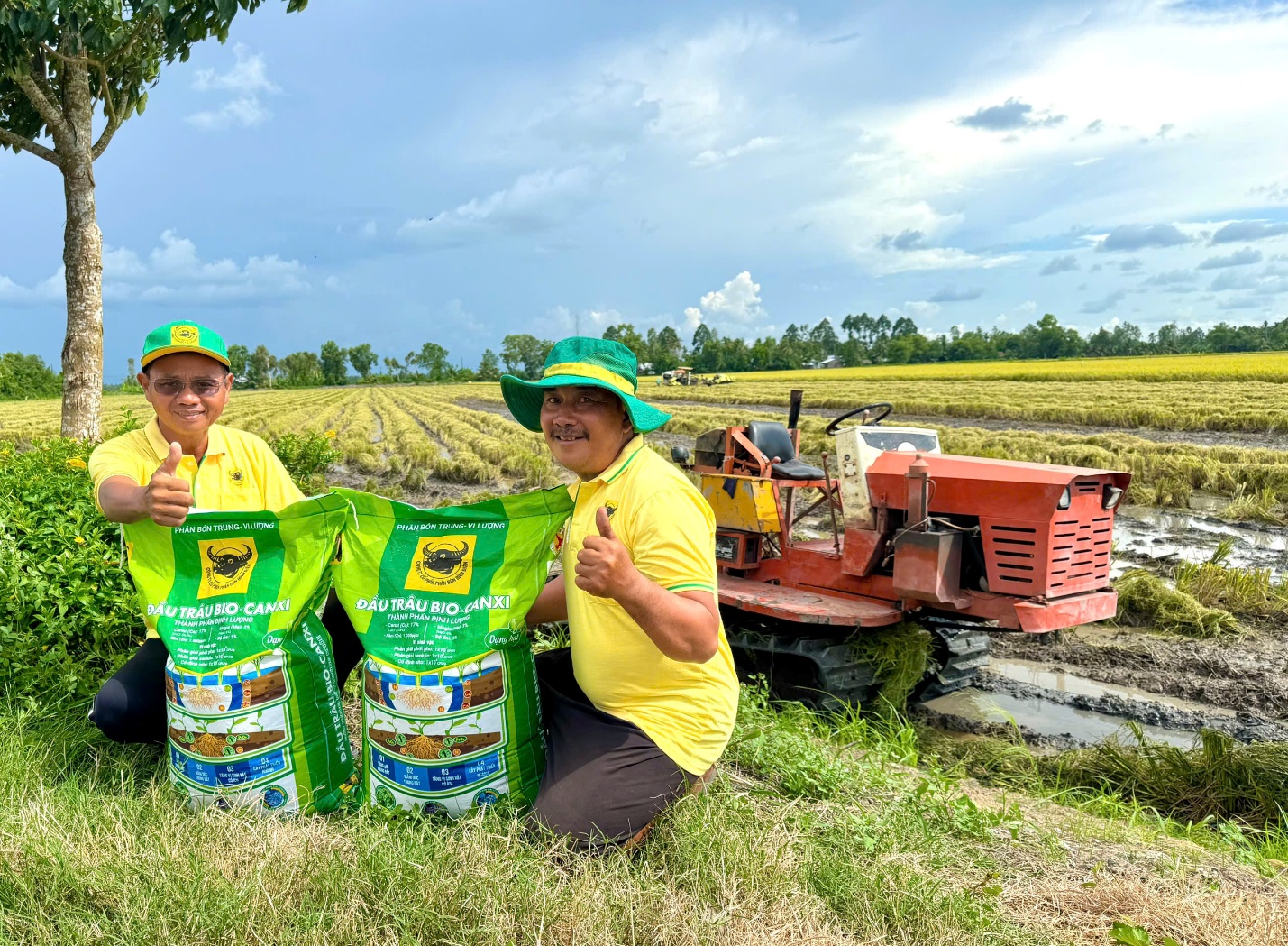 Đầu Trâu Bio-Canxi: Một giải pháp phân bón mới cho canh tác lúa gạo bền vững và giảm phát thải- Ảnh 2.