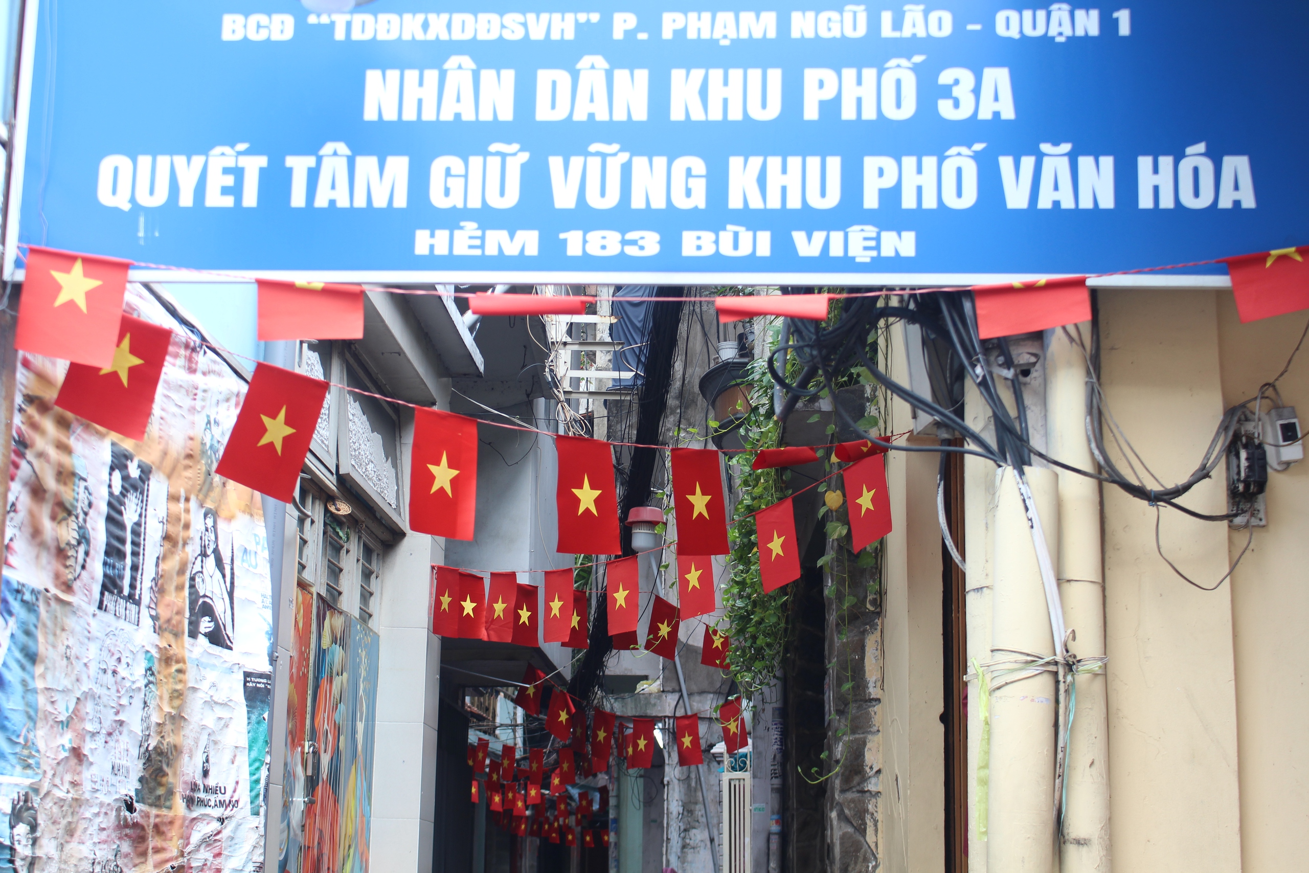 Cờ đỏ sao vàng phủ kín TP HCM mừng Quốc khánh 2-9 - Ảnh 7.