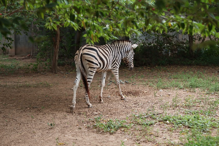 Khám phá Việt Nam đa sắc trong kỳ nghỉ Lễ 2-9 cùng TTC Hospitality- Ảnh 8. Khám phá Việt Nam đa sắc trong kỳ nghỉ Lễ 2-9 cùng TTC Hospitality- Ảnh 8.