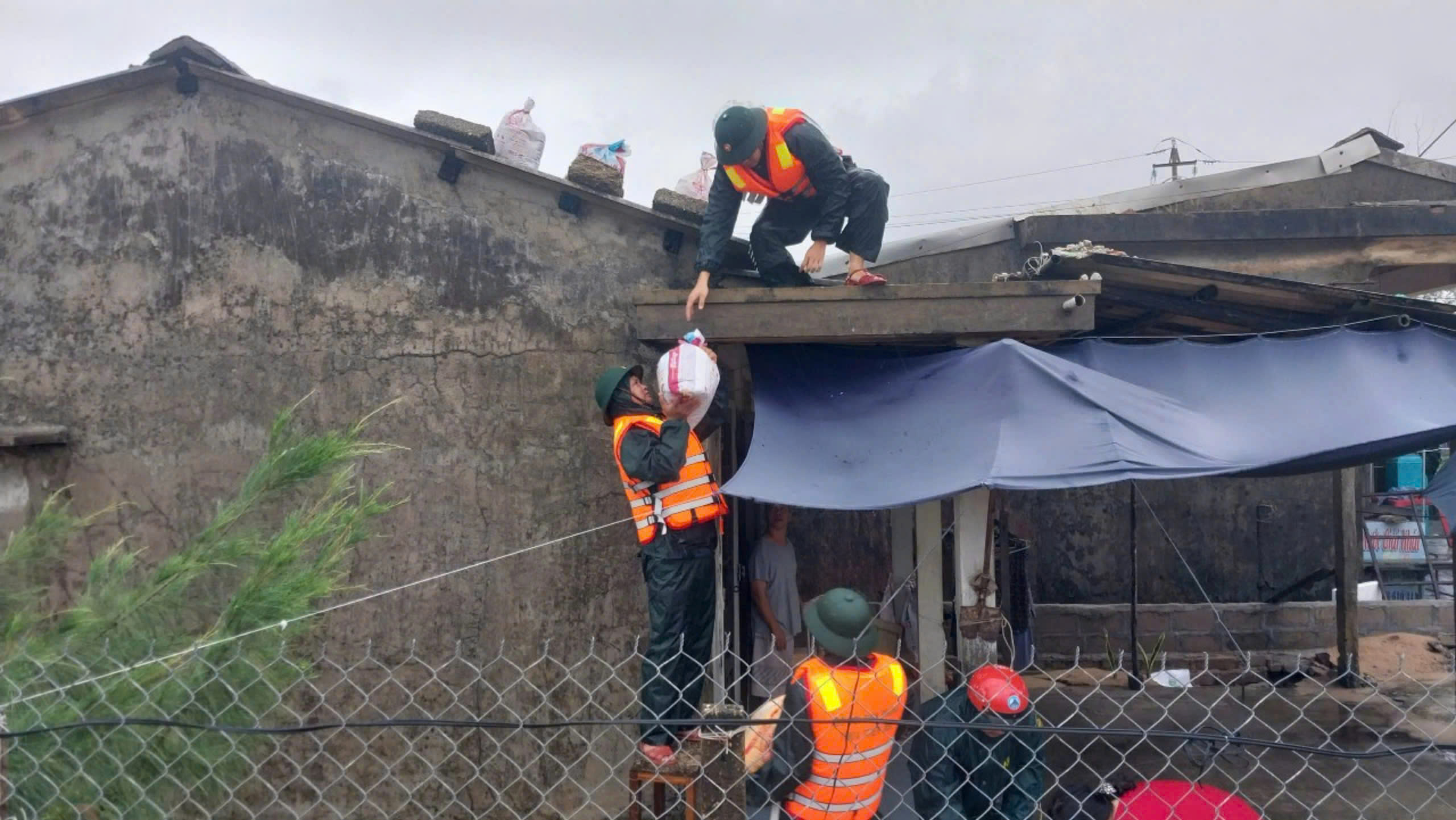 Huế cấm biển, khẩn trương thu hoạch lúa trước khi bão số 5 đổ bộ- Ảnh 4.