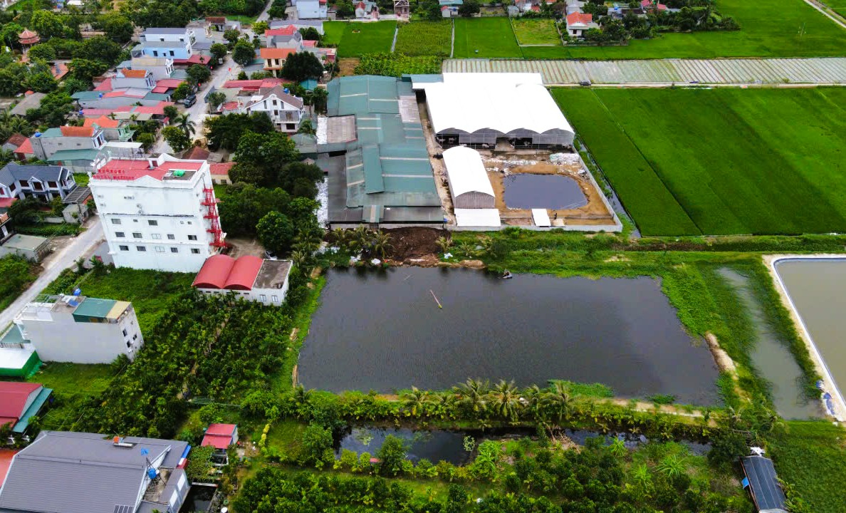 Tháo dỡ trang trại hàng trăm con bò sát khu dân cư ở Thanh Hóa- Ảnh 1.
