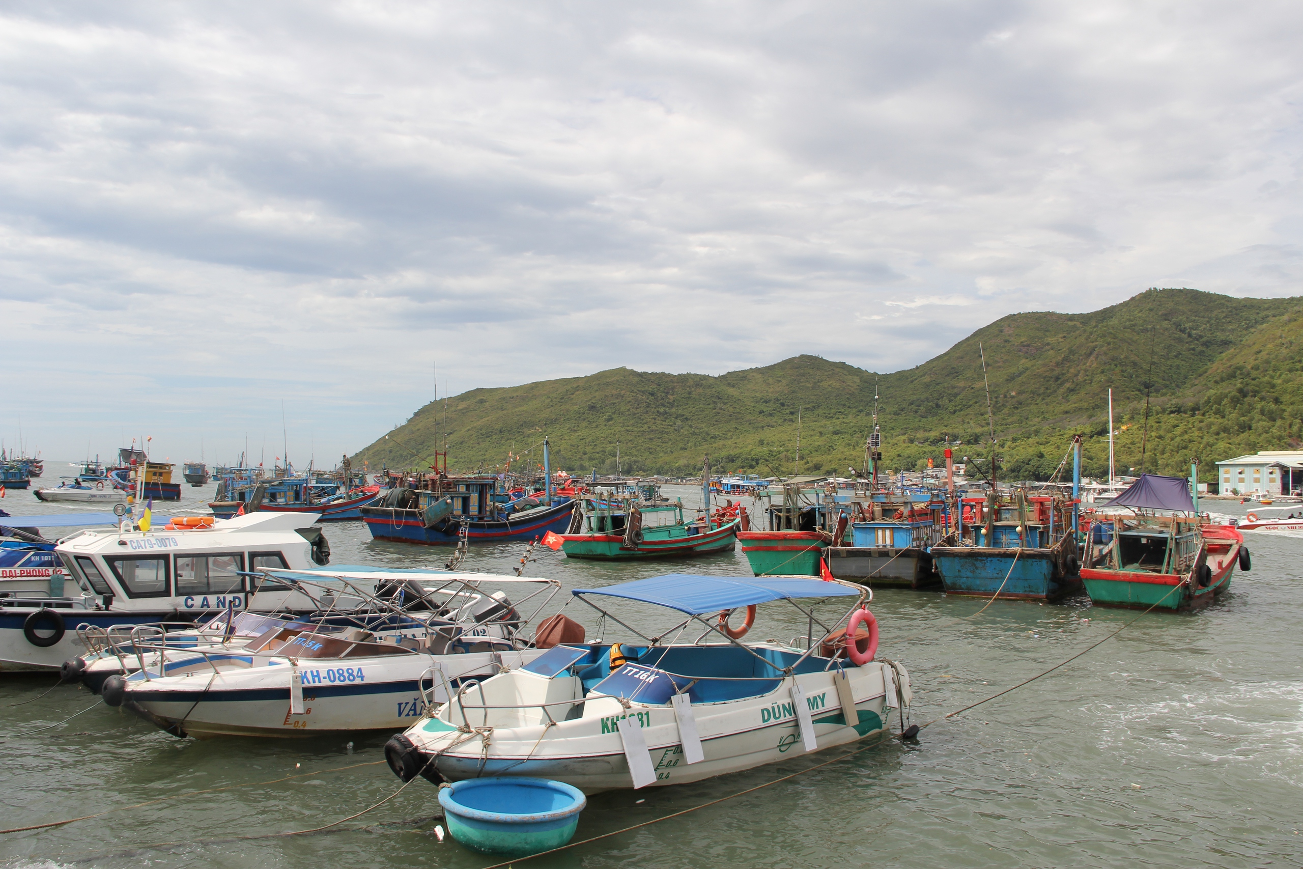 Thu phí tham quan Vịnh Nha Trang cao nhất 40 ngàn đồng/người - Ảnh 1.