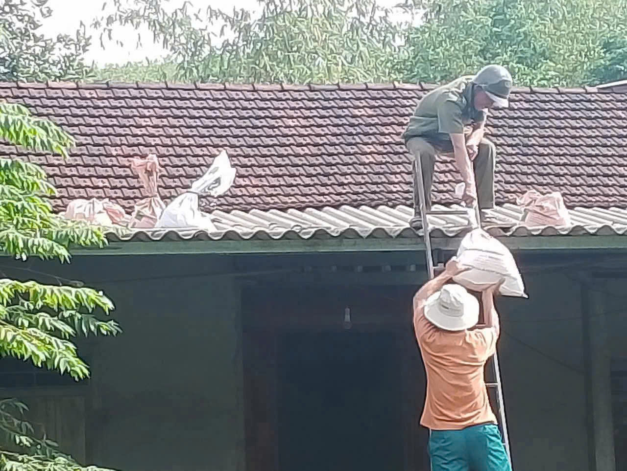 Hà Tĩnh khẩn trương ứng phó bão số 5 - Ảnh 3.